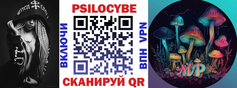 ОМГ ОМГ tor  Новосокольники  Псилоцибиновые грибы Cubensis  где продают  